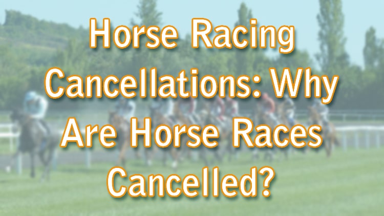 Horse Racing Cancellations: Why Are Horse Races Cancelled?
